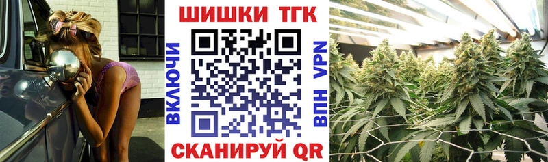 Конопля план  закладки  Белоярский 